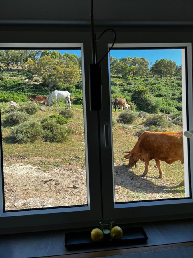 Cortijo Las Cabrerizas Фасинас Екстериор снимка